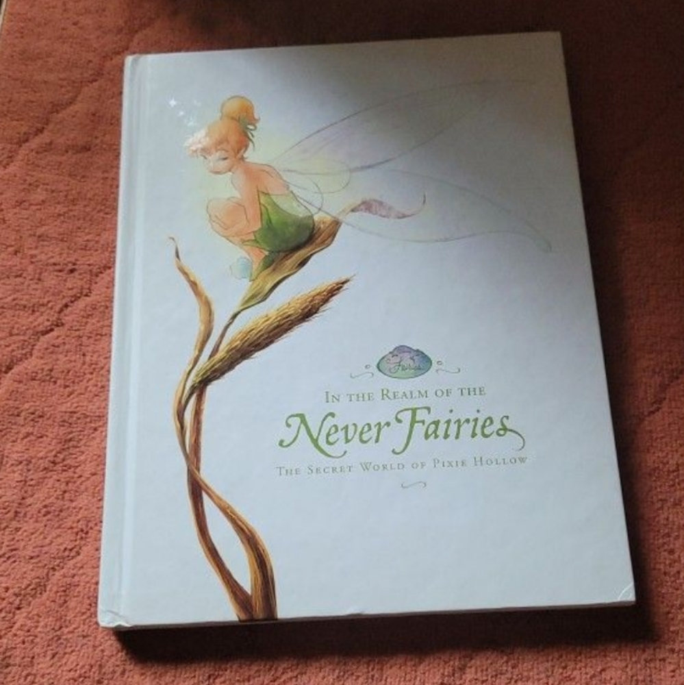 Fairy book